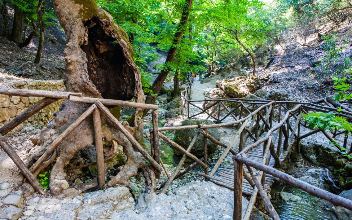 Tal der Schmetterlinge, Rhodos | Griechenland.de