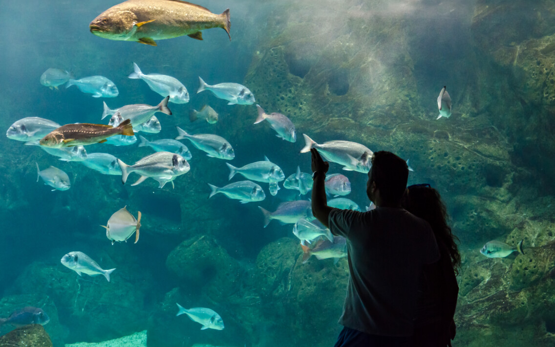 Cretaquarium, Kreta | Griechenland.de Cretaquarium, Kreta | Griechenland.de