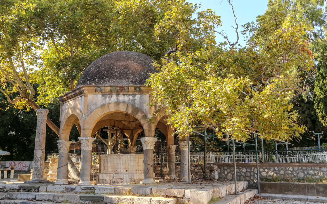 Platane des Hippokrates auf Kos | griechenland.de