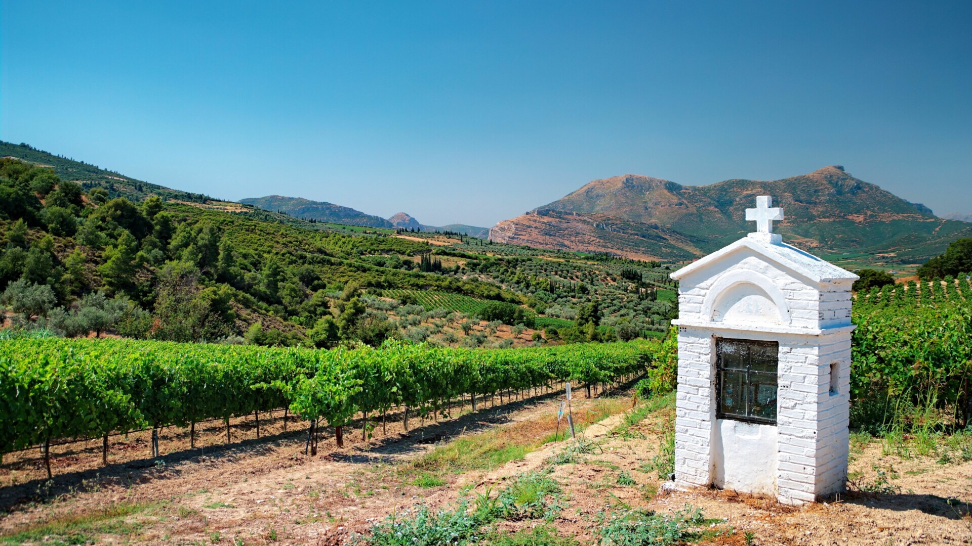 Weinbauregion Nemea, Peloponnes | griechenland.de