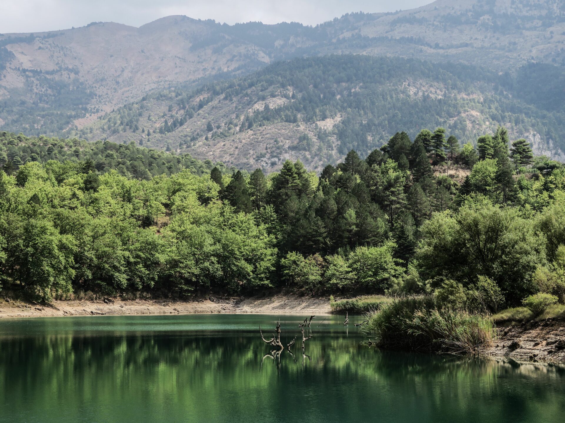 Tsivlos, Peloponnes | griechenland.de