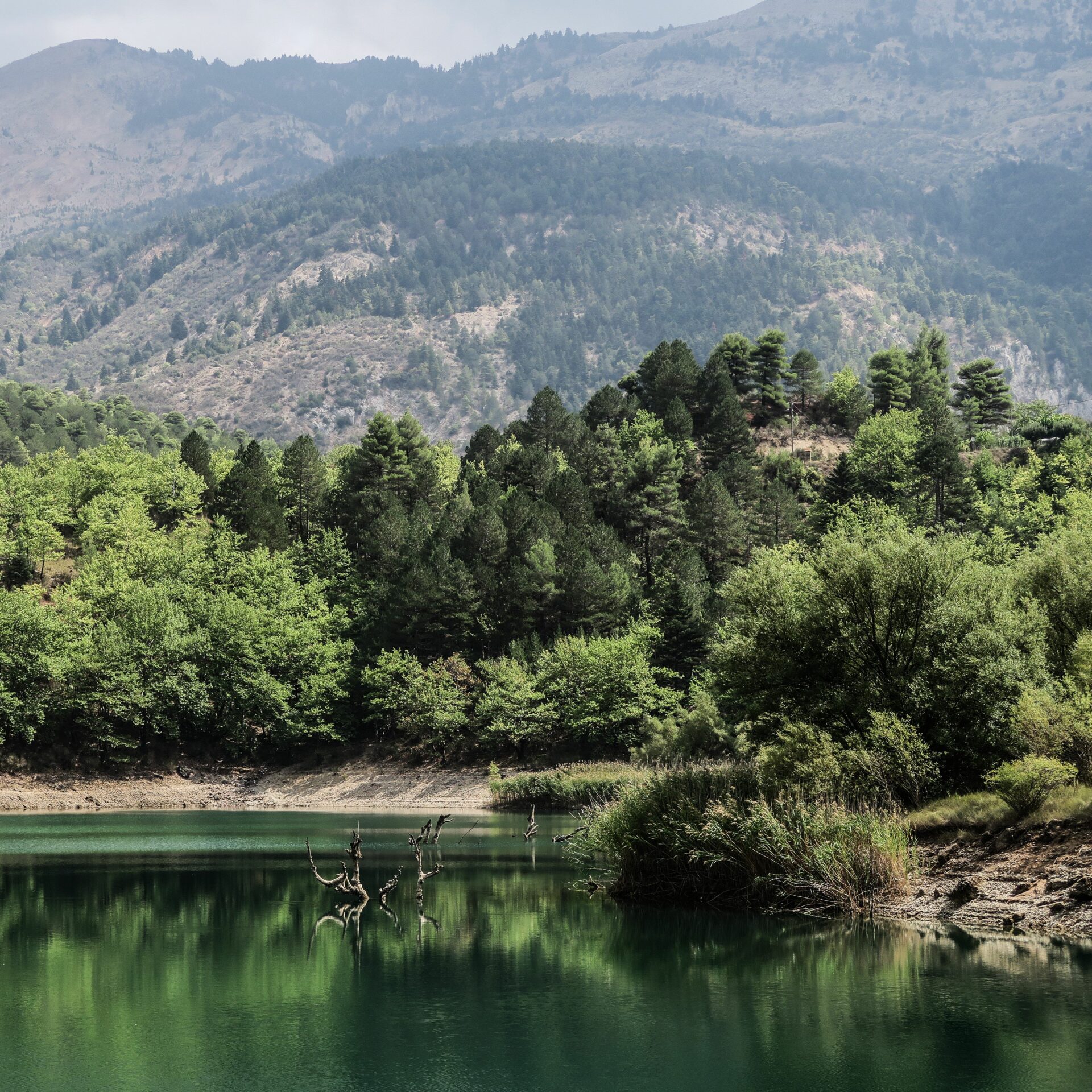 Tsivlos, Peloponnes | griechenland.de