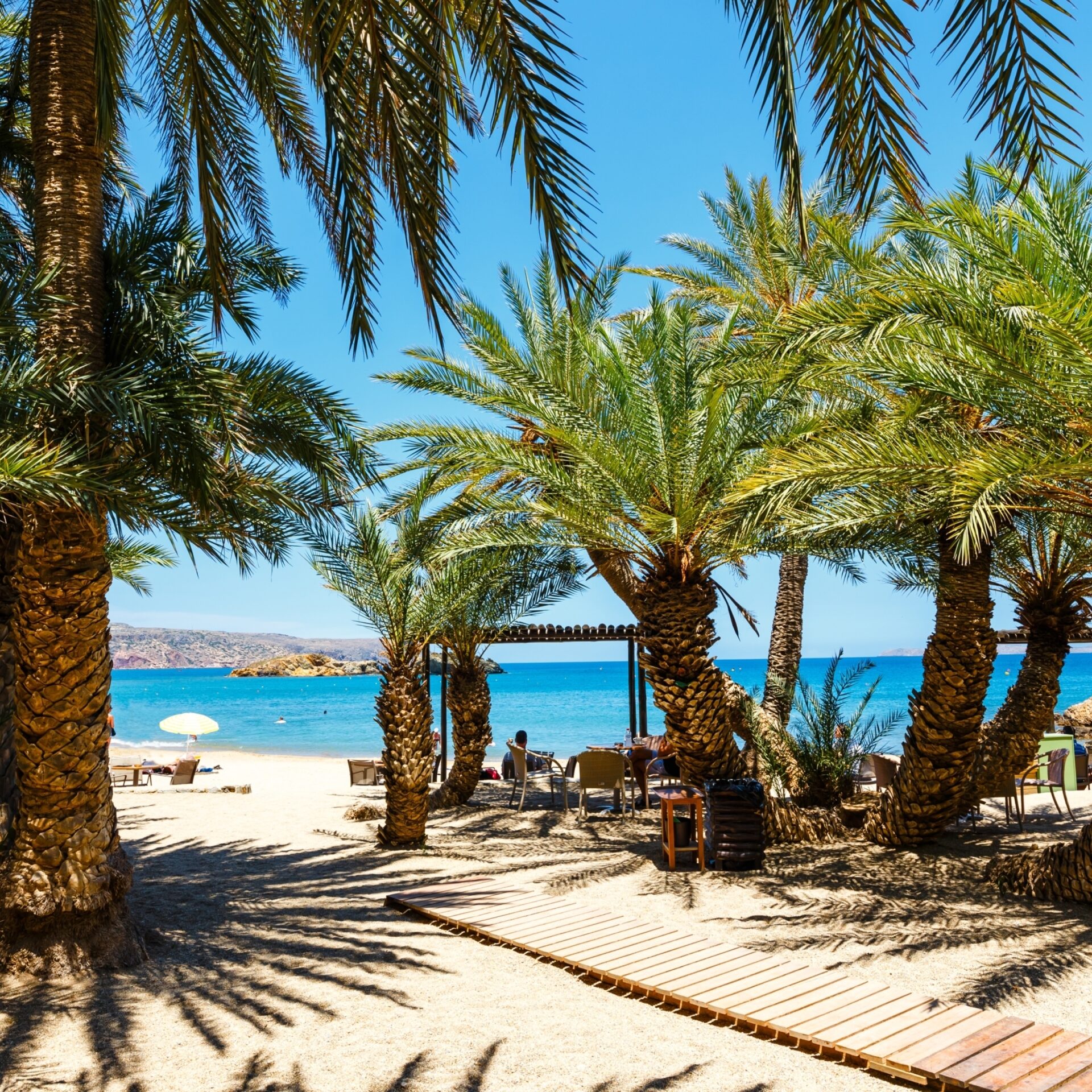 Palmenstrand Vai, Kreta | Griechenland.de