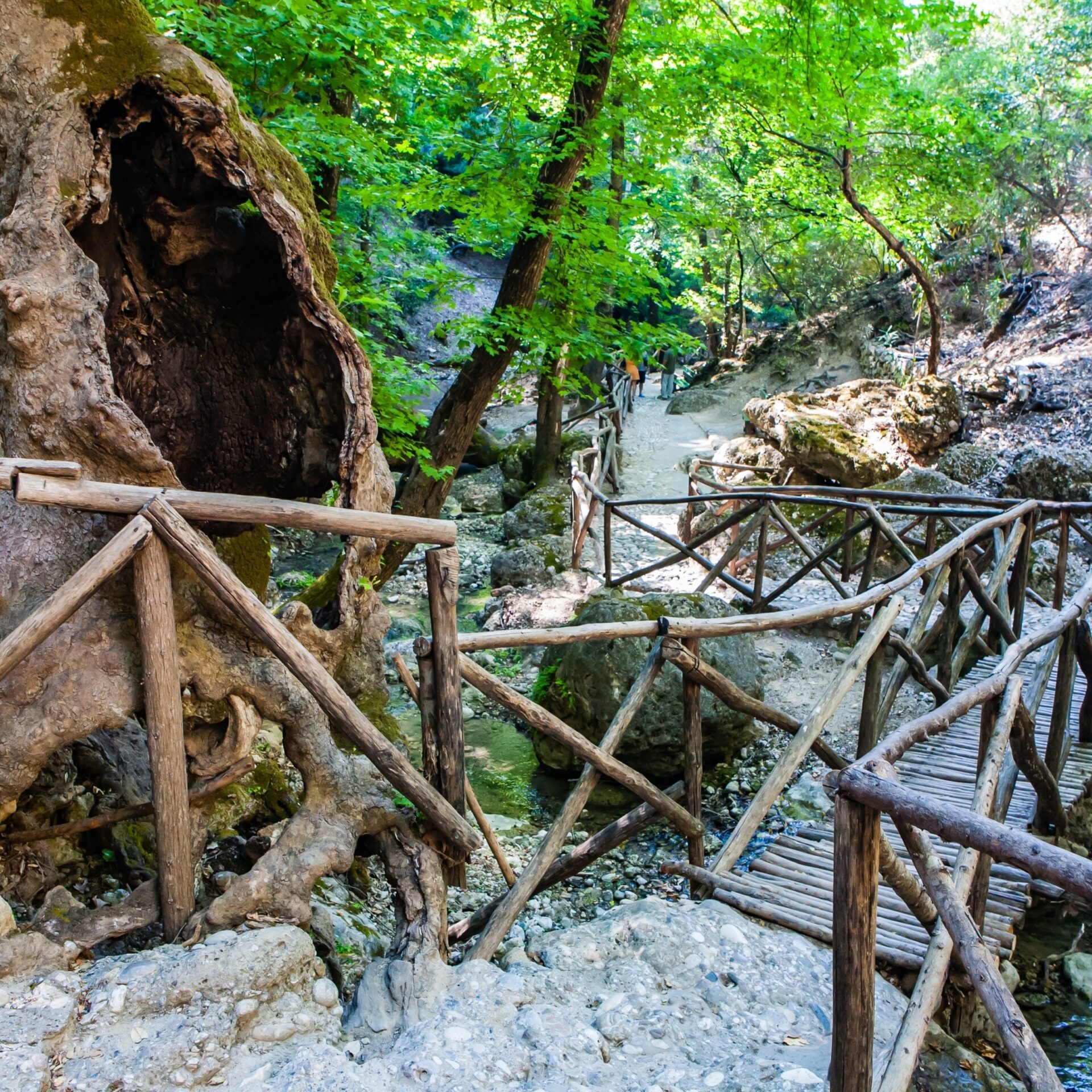 Tal der Schmetterlinge, Rhodos | Griechenland.de