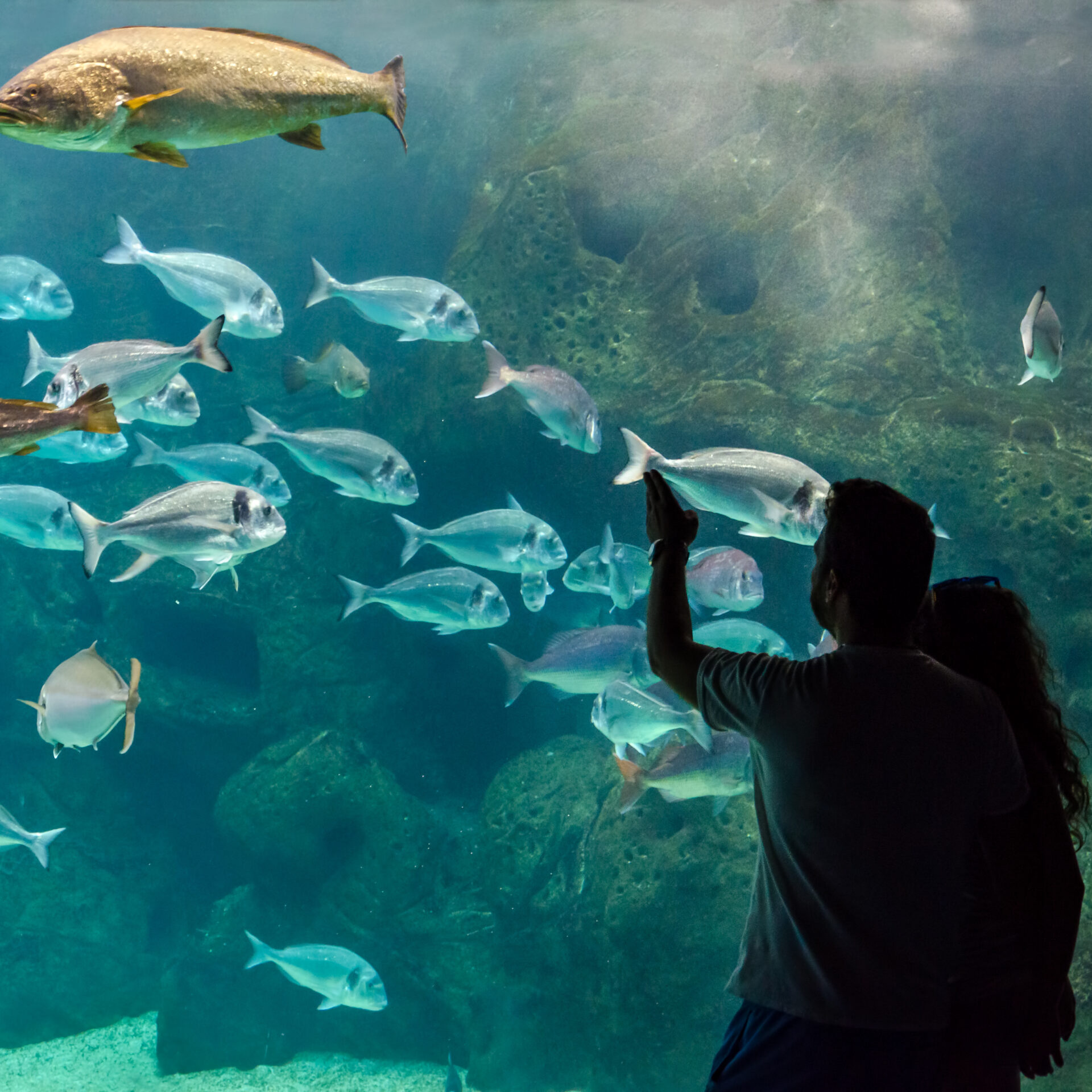 Cretaquarium, Kreta | Griechenland.de