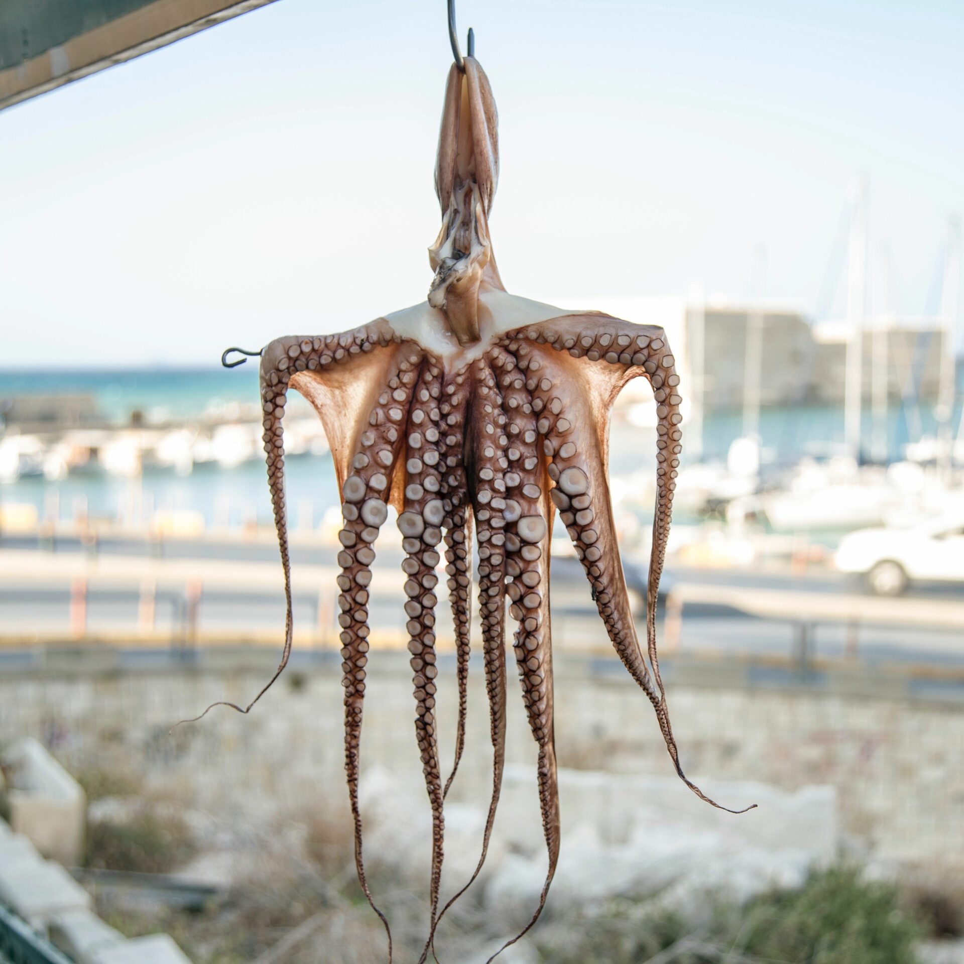 Heraklion, Kreta | griechenland.de