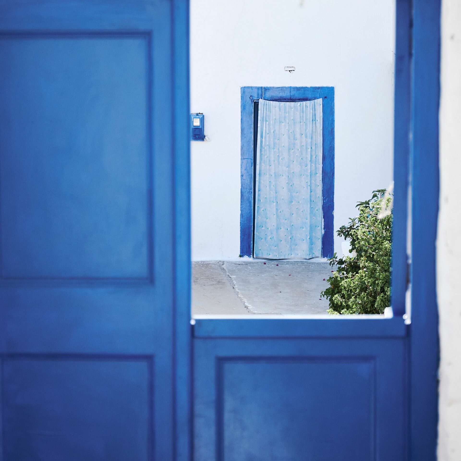 Fabien Bazanegue 550252 Unsplash