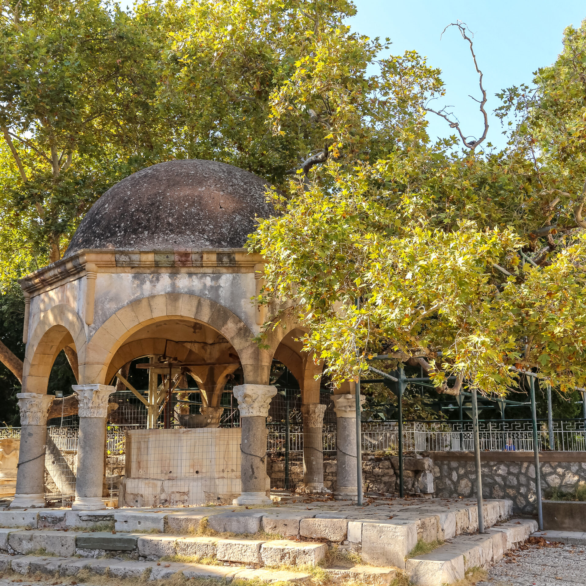 Platane des Hippokrates auf Kos | griechenland.de