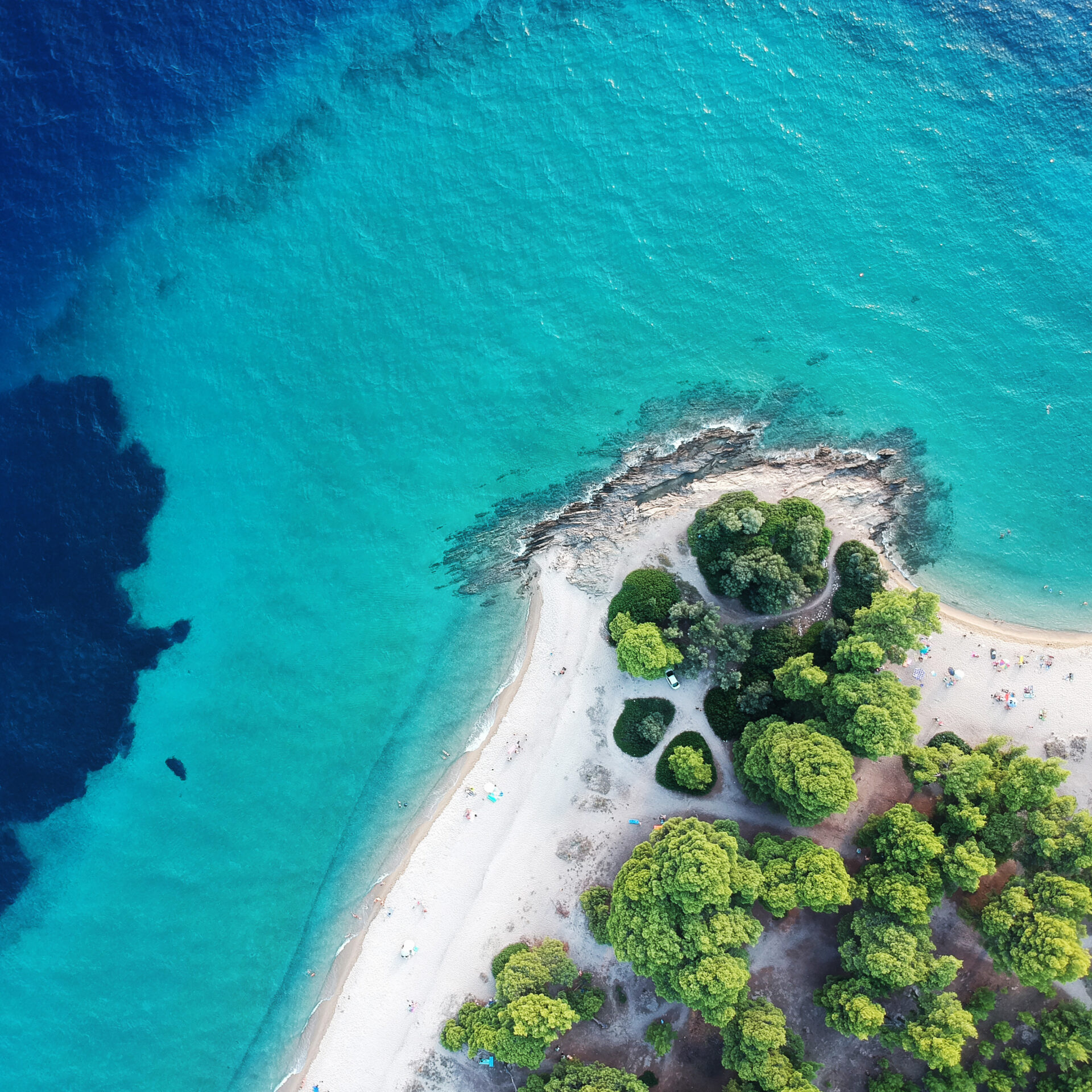 Luftaufnahme von türkisem Wasser an einem Pinien-Strand in Griechenland