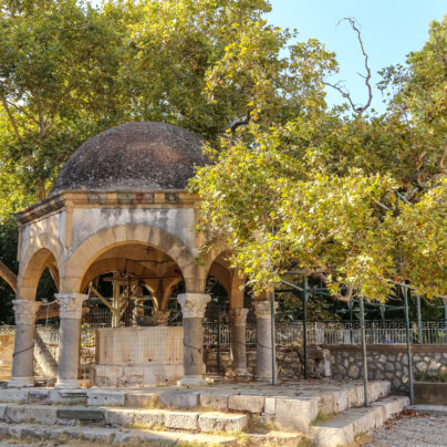 Platane des Hippokrates auf Kos | griechenland.de