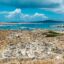 Delos, Kykladen | griechenland.de Delos, Kykladen | griechenland.de