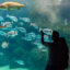Cretaquarium, Kreta | Griechenland.de Cretaquarium, Kreta | Griechenland.de