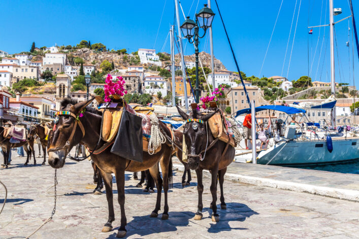 Esel, Hydra | Griechenland.de